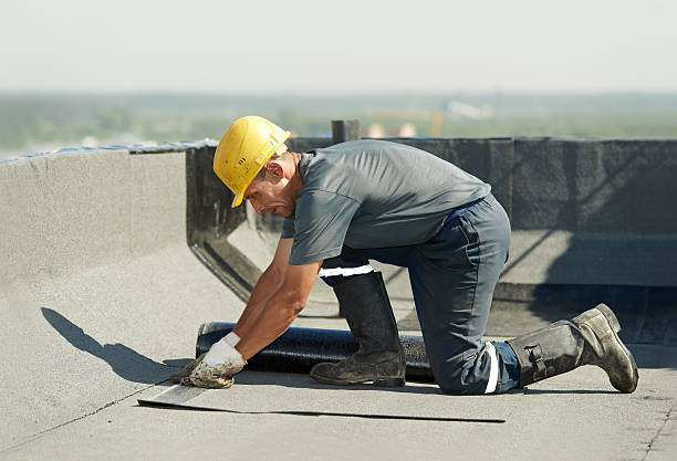 Best Commercial Insulation in Viola, NY