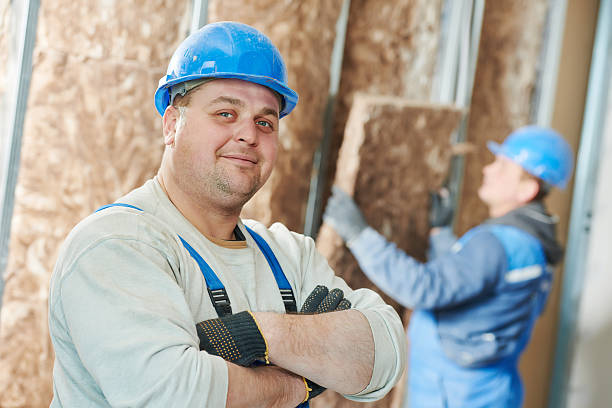 Best Geographic-Specific Insulation Services in Viola, NY