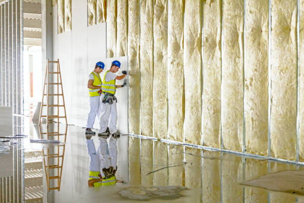 Best Insulation Maintenance and Repair in Viola, NY